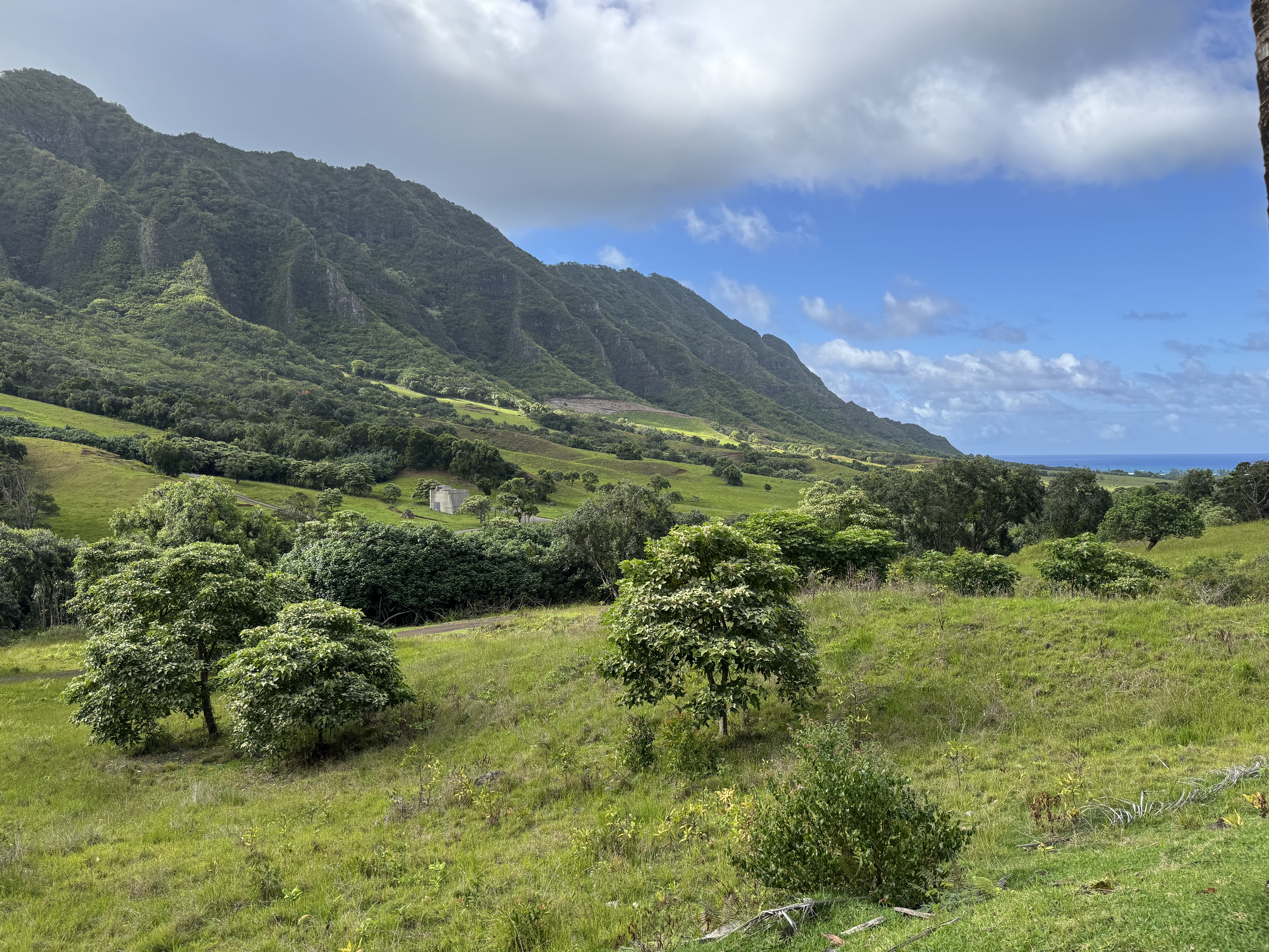 Hawaii ranch landscape